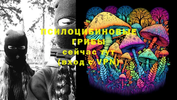 винт Алексеевка
