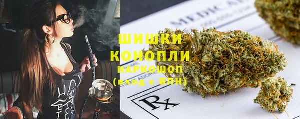 шишки Алексин