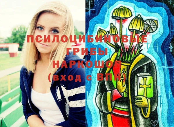 винт Алексеевка