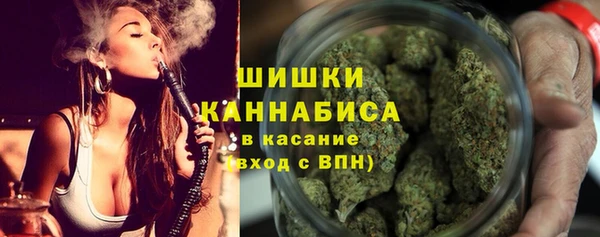 шишки Алексин
