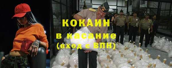 шишки Алексин