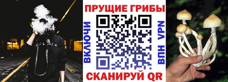 Псилоцибиновые грибы прущие грибы  Сатка 